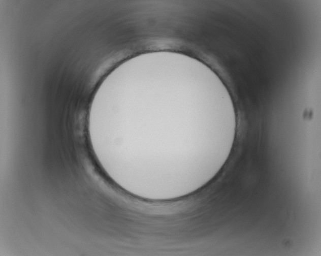 X0000113150010200910161231