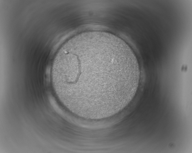 X0000113150014200910161230