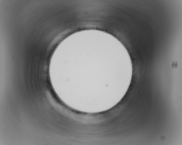 X0000113150016200910161230