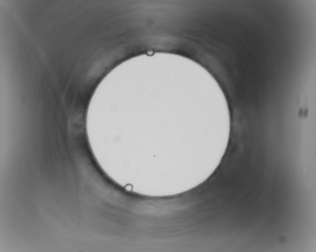 X0000113150017200910161230