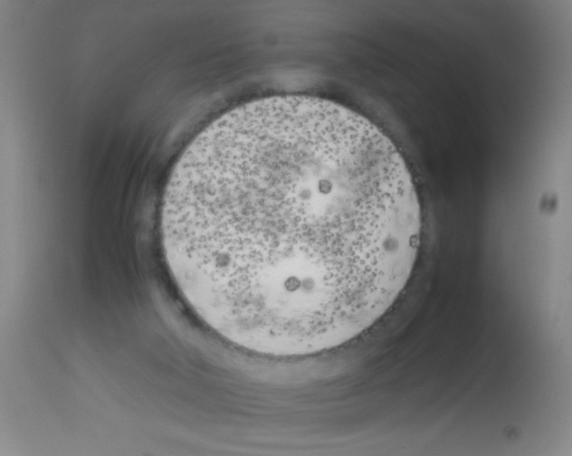 X0000113150018200910161230