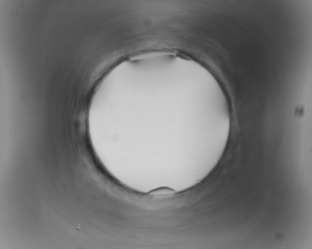 X0000113150019200910161230