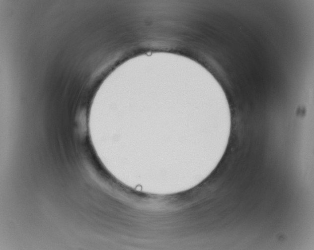 X0000113150020200910161230