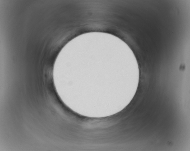 X0000113150021200910161230