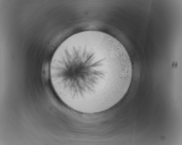 X0000113150022200910161230