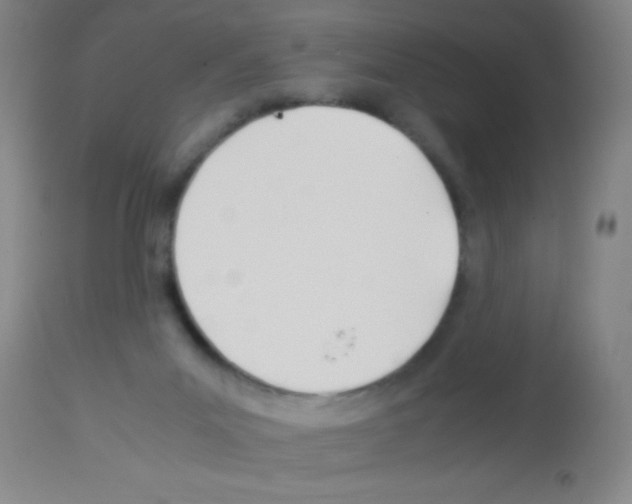 X0000113150023200910161230