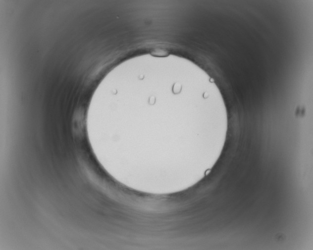 X0000113150024200910161230