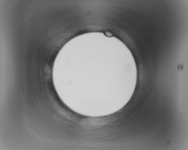 X0000113150025200910161230