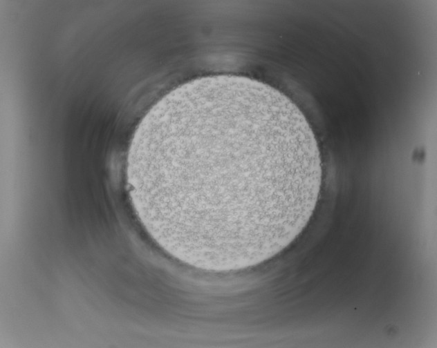 X0000113150026200910161230