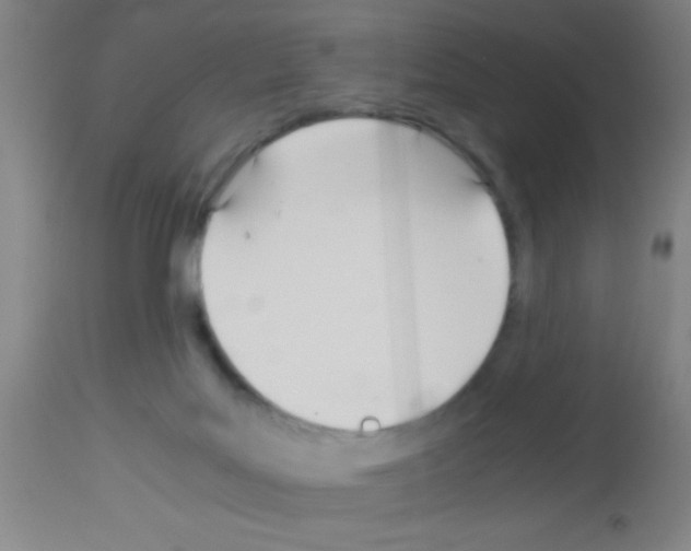 X0000113150027200910161230