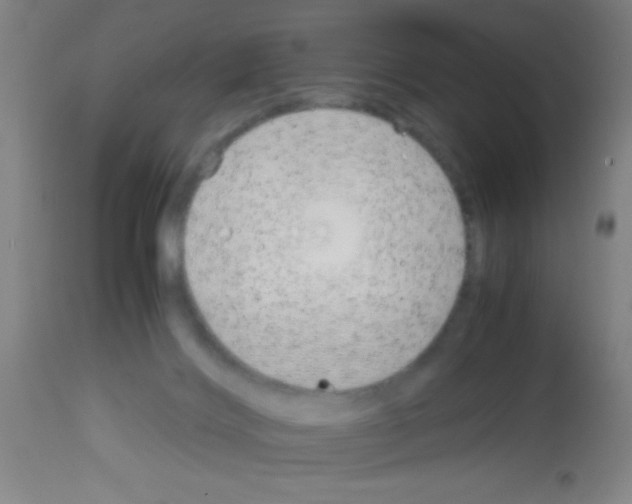 X0000113150028200910161230