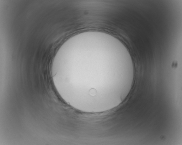 X0000113150029200910161230