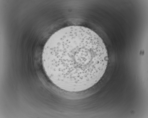 X0000113150030200910161230