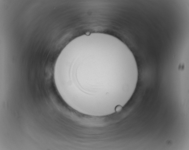 X0000113150032200910161230