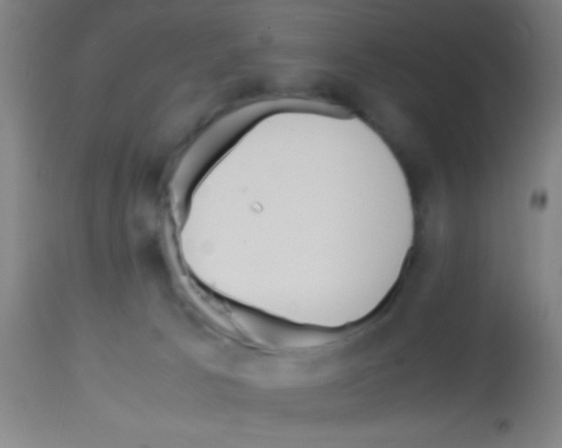 X0000113150033200910161230