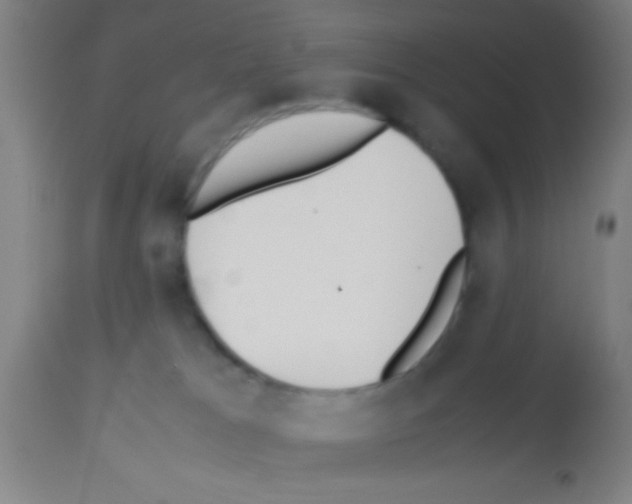 X0000113150037200910161230