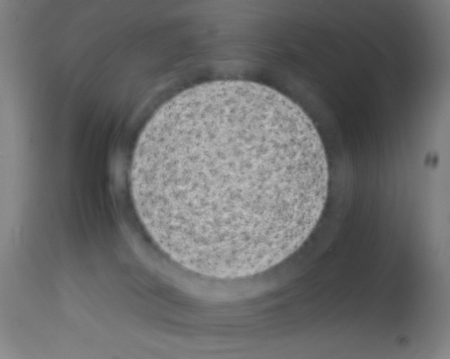 X0000113150038200910161230