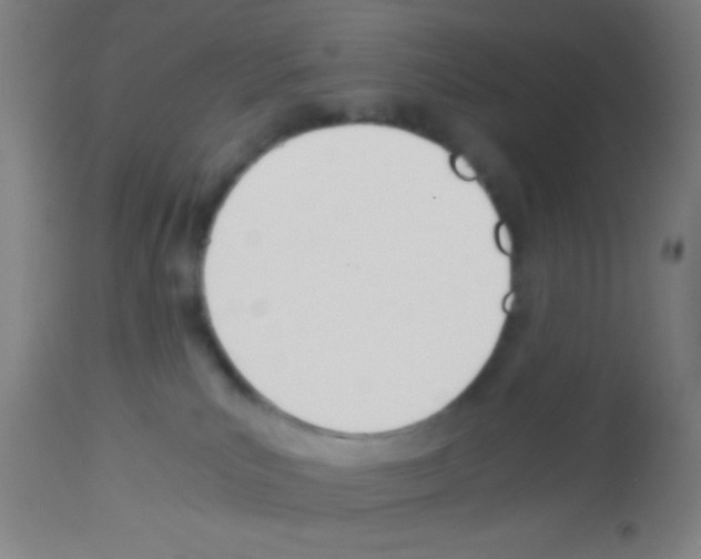 X0000113150039200910161230