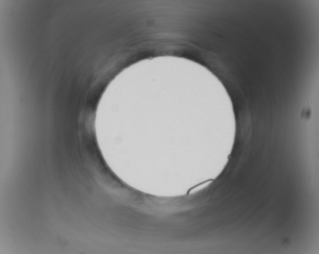 X0000113150041200910161230