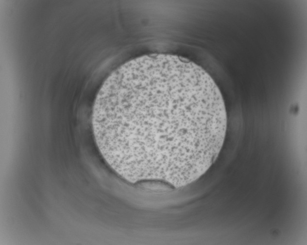 X0000113150043200910161230