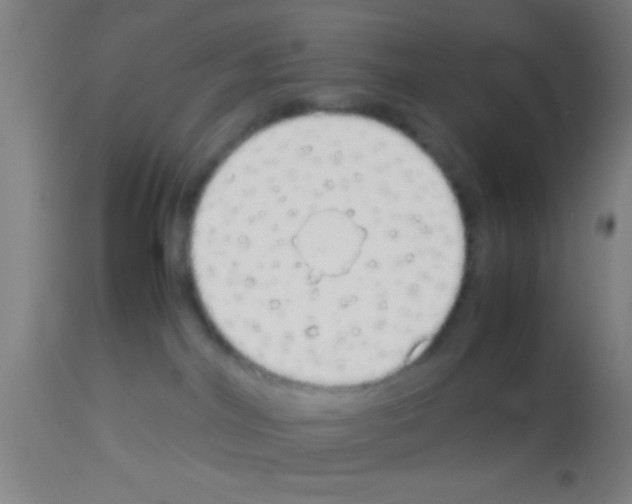 X0000113150044200910161230