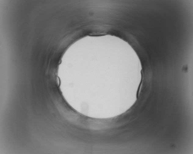 X0000113150045200910161230