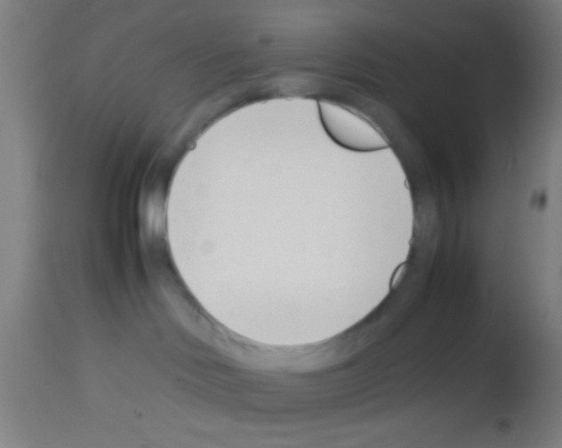 X0000113150046200910161230