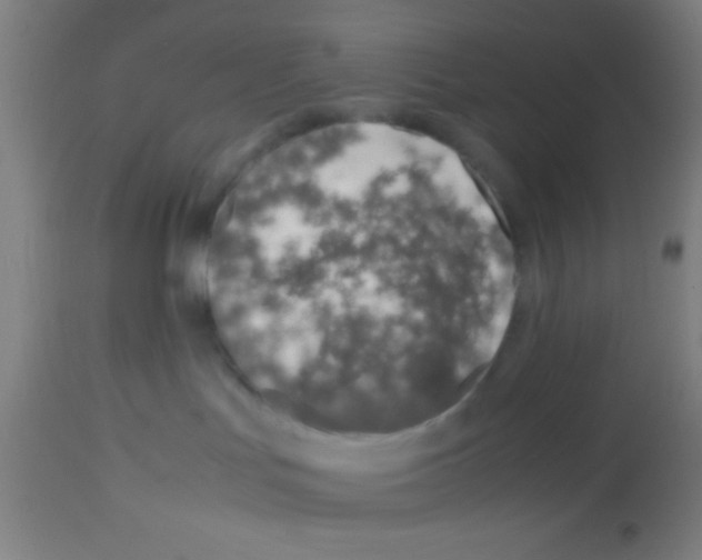 X0000113150047200910161230