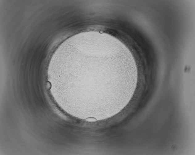 X0000113150049200910161229