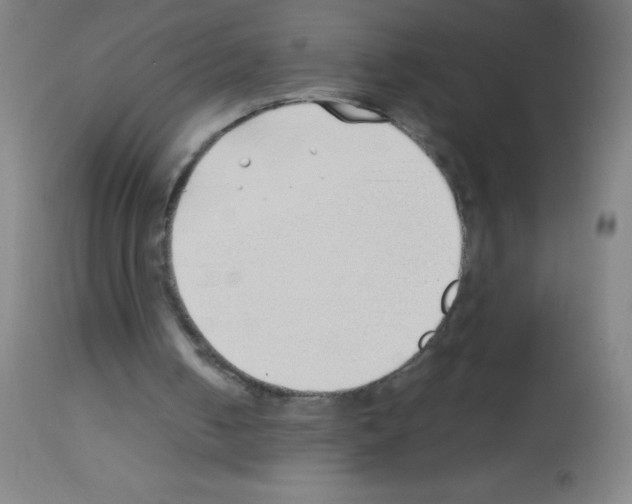 X0000113150050200910161229