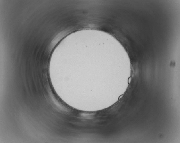 X0000113150051200910161229