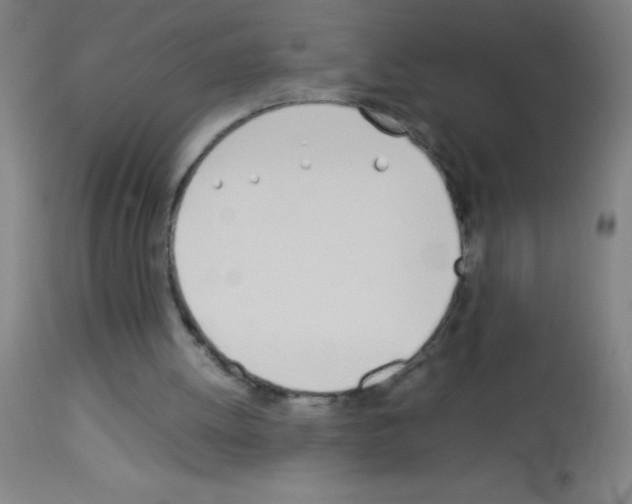 X0000113150052200910161229