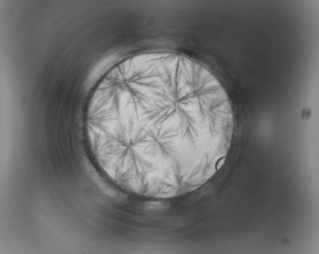 X0000113150053200910161229