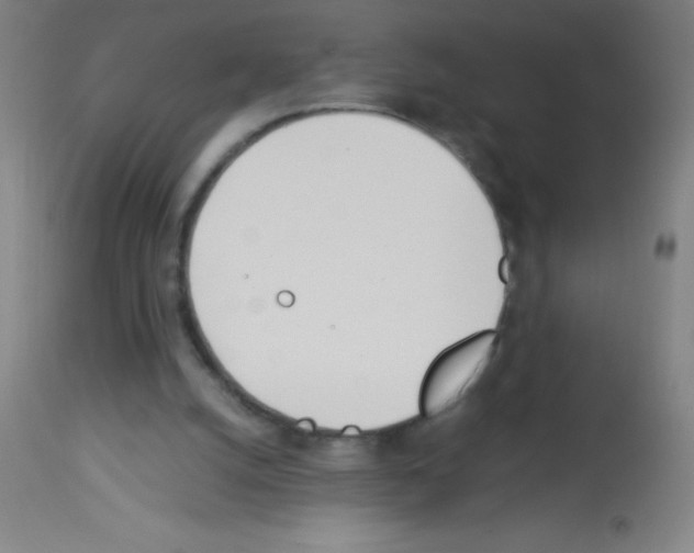 X0000113150056200910161229