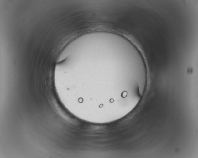 X0000113150057200910161229