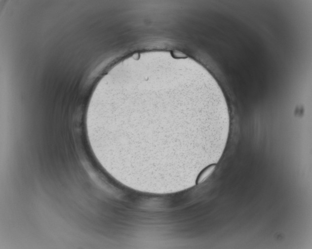 X0000113150058200910161229