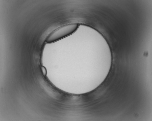 X0000113150060200910161229