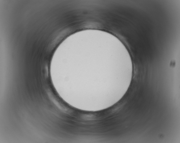 X0000113150061200910161229