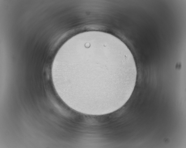 X0000113150062200910161229