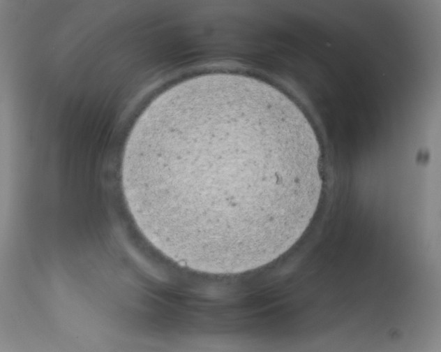 X0000113150063200910161229