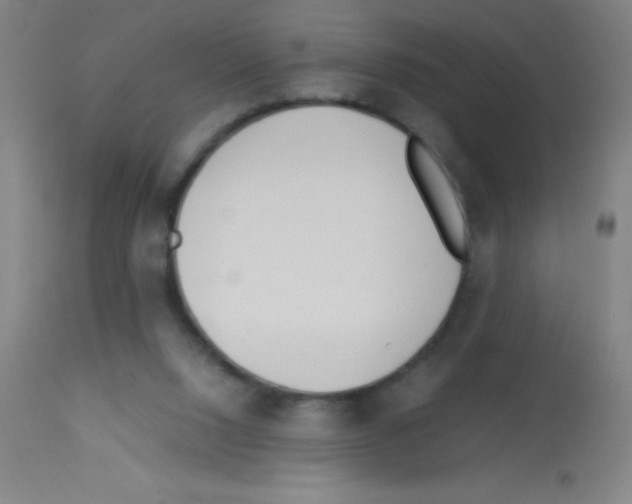 X0000113150064200910161229