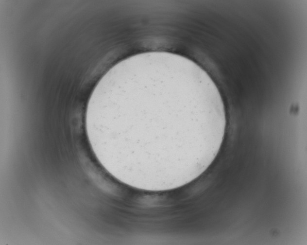 X0000113150065200910161229