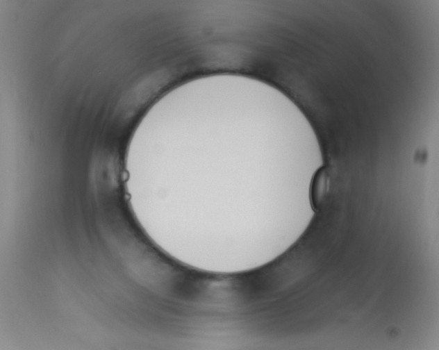 X0000113150068200910161230