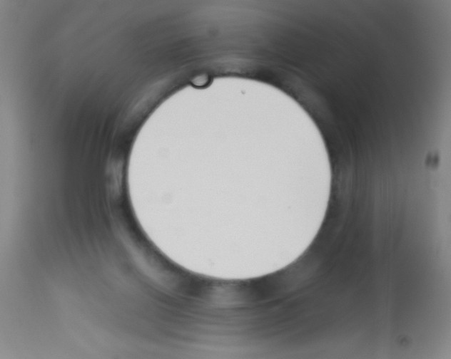 X0000113150070200910161230