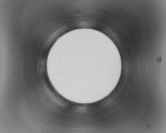 X0000113150071200910161230