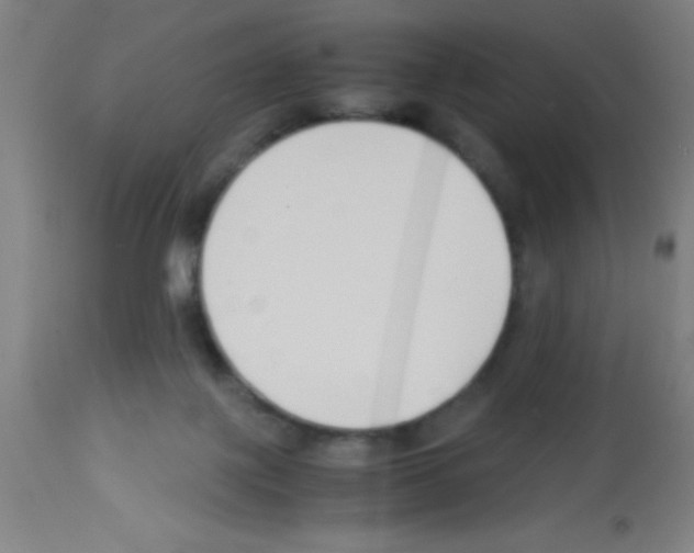 X0000113150075200910161230