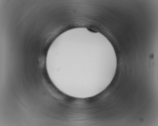 X0000113150076200910161230