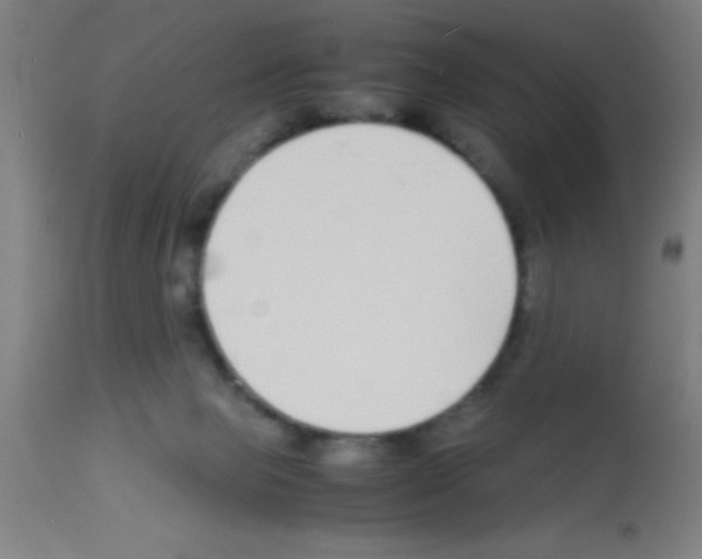 X0000113150077200910161230