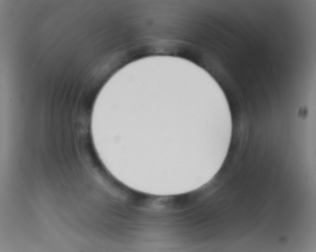 X0000113150078200910161230