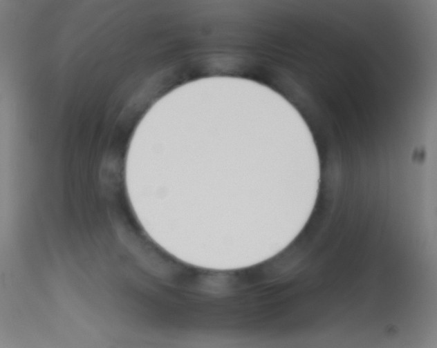 X0000113150079200910161230